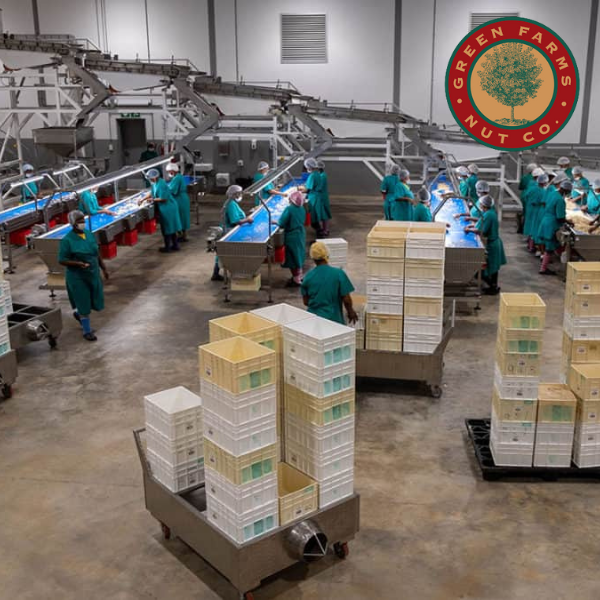 Case Study Green Farms Nut