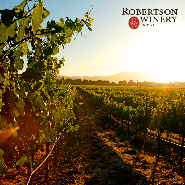 Case Study Robertson Winery