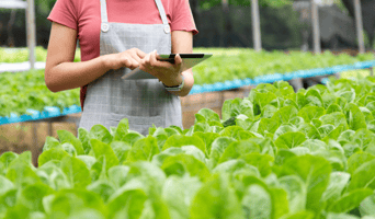 Cultivating Efficiency with Smart Inspections: AssetPool in the Agricultural Industry