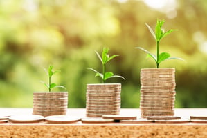 Coins growing trees out of them depicting financial growth