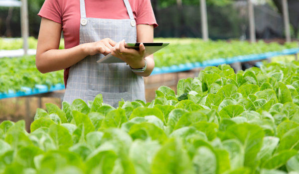 Cultivating Efficiency with Smart Inspections: AssetPool in the Agricultural Industry